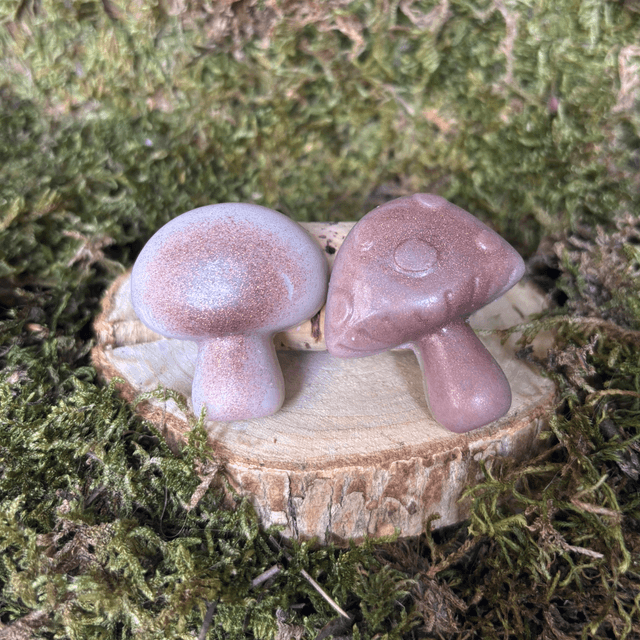Lot de 2 Fondants Epices