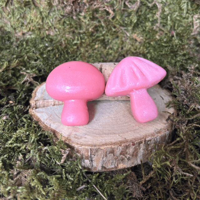 Lot de 2 Fondants Sakura