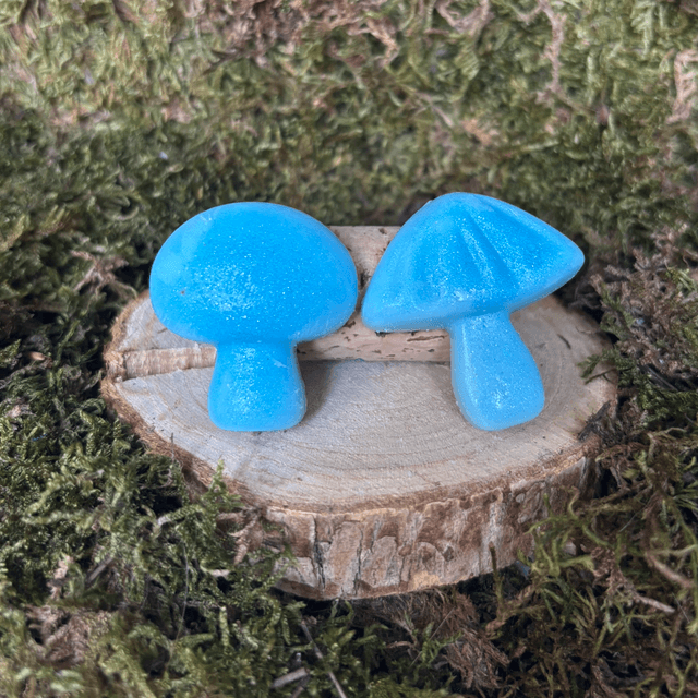 Lot de 2 Fondants Menthe