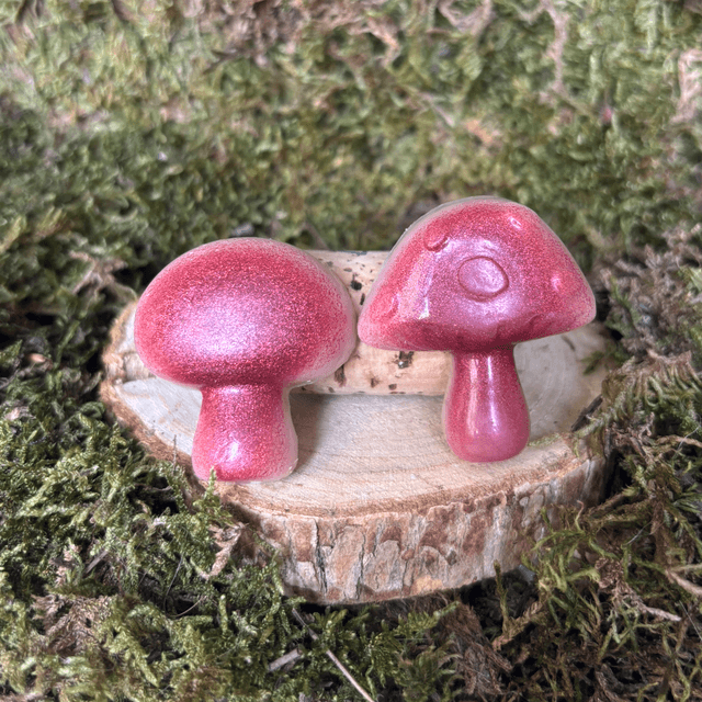 Lot de 2 Fondants Monoï Pêche