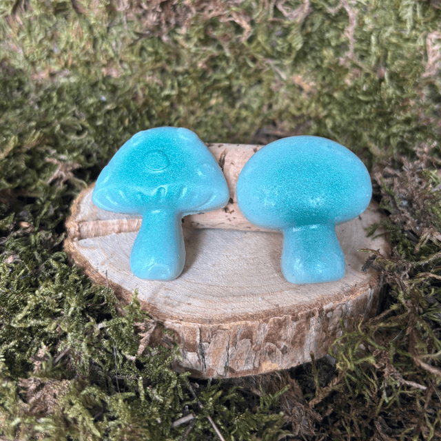 Lot de 2 Fondants Amande