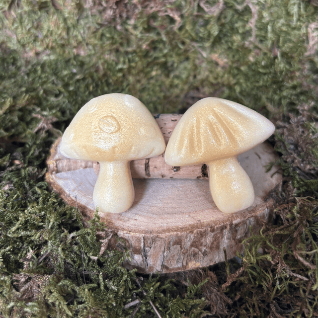 Lot de 2 Fondants Ylang Ylang