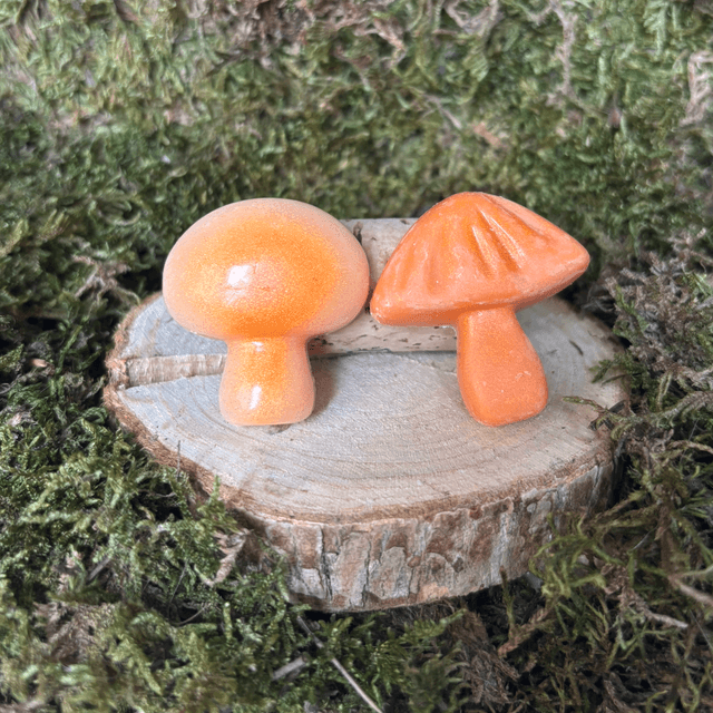 Lot de 2 Fondants Gingembre